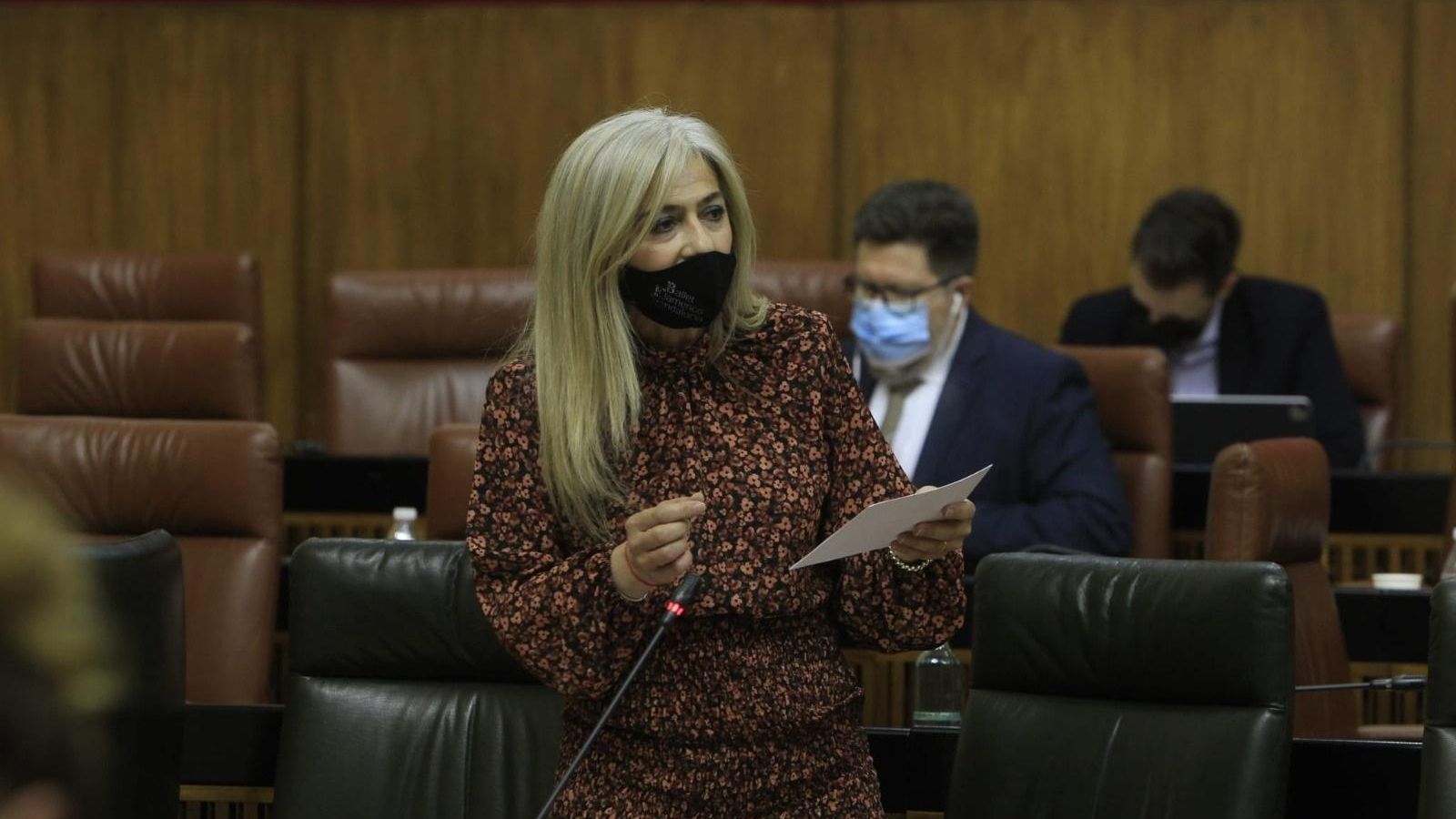 La consejera Patricia del Pozo durante su intervención en el Parlamento.