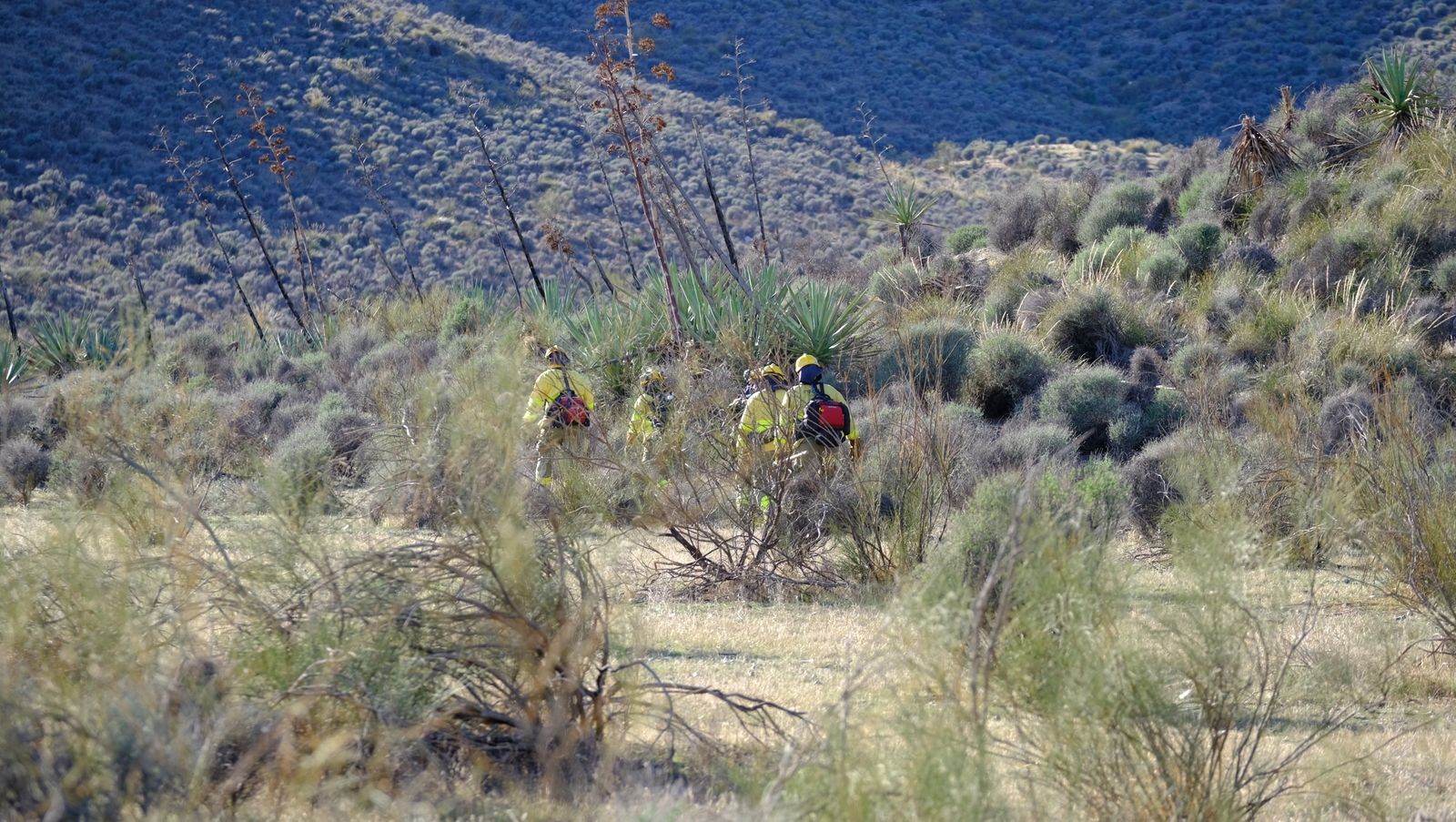 Fotogalería incendio en Castro de Filabres. Almería