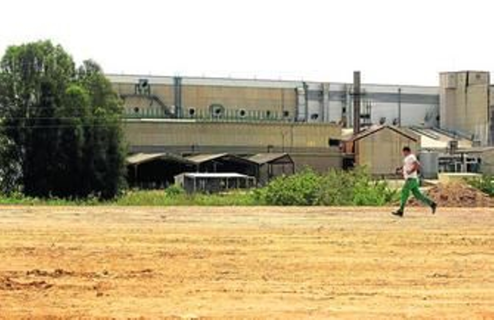 Un hombre corre por la explanada que pronto comenzará a usar Servicios Auxiliares Marítimos de Algeciras, tras Torraspapel.