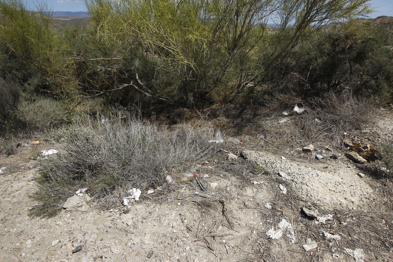 Fotogalería basura en el Desierto de Tabernas