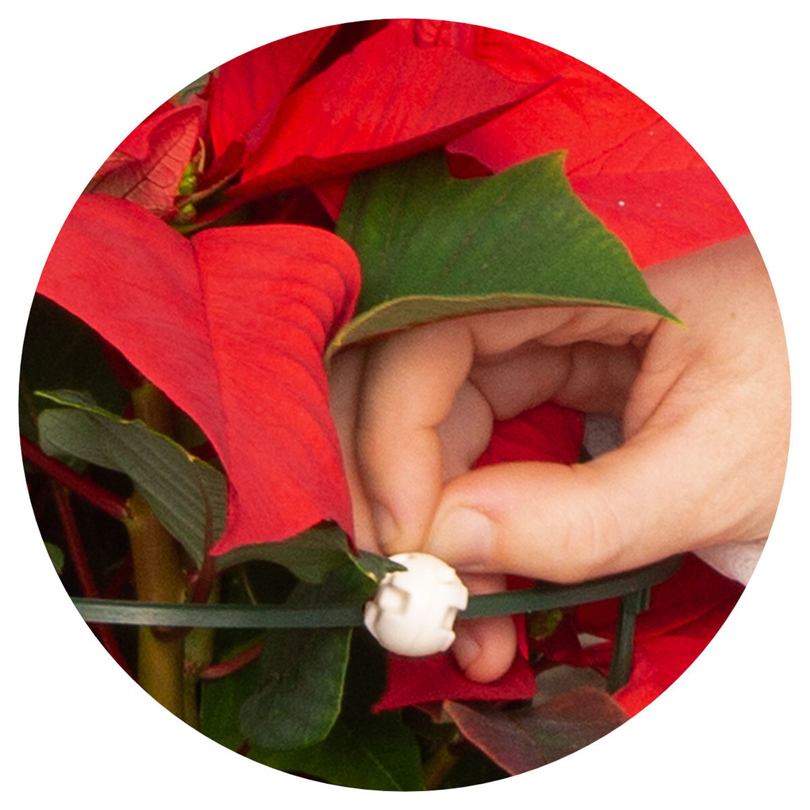 Detalle de EREMIcontrol Balls.