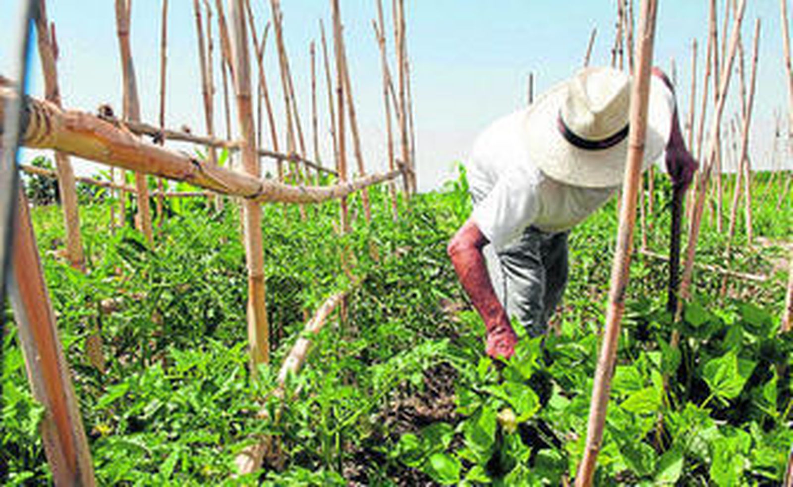 Cáritas está pensando crear una empresa de inserción socio laboral.