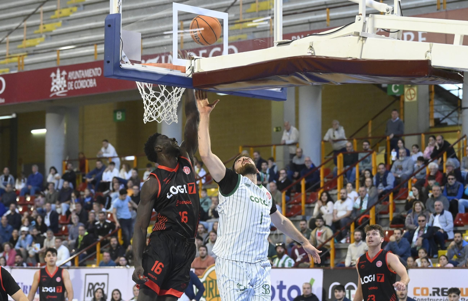 Las mejores fotos del ambiente en Vista Alegre para el Coto Córdoba - Logrobasket