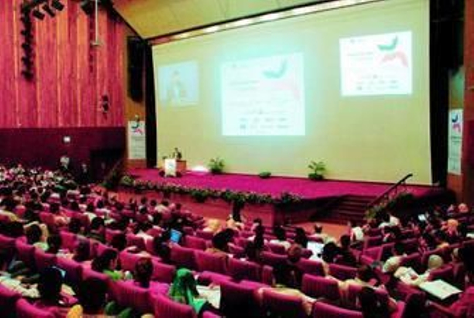 Momento del encuentro anual de la Wkipedia en Alejandría.