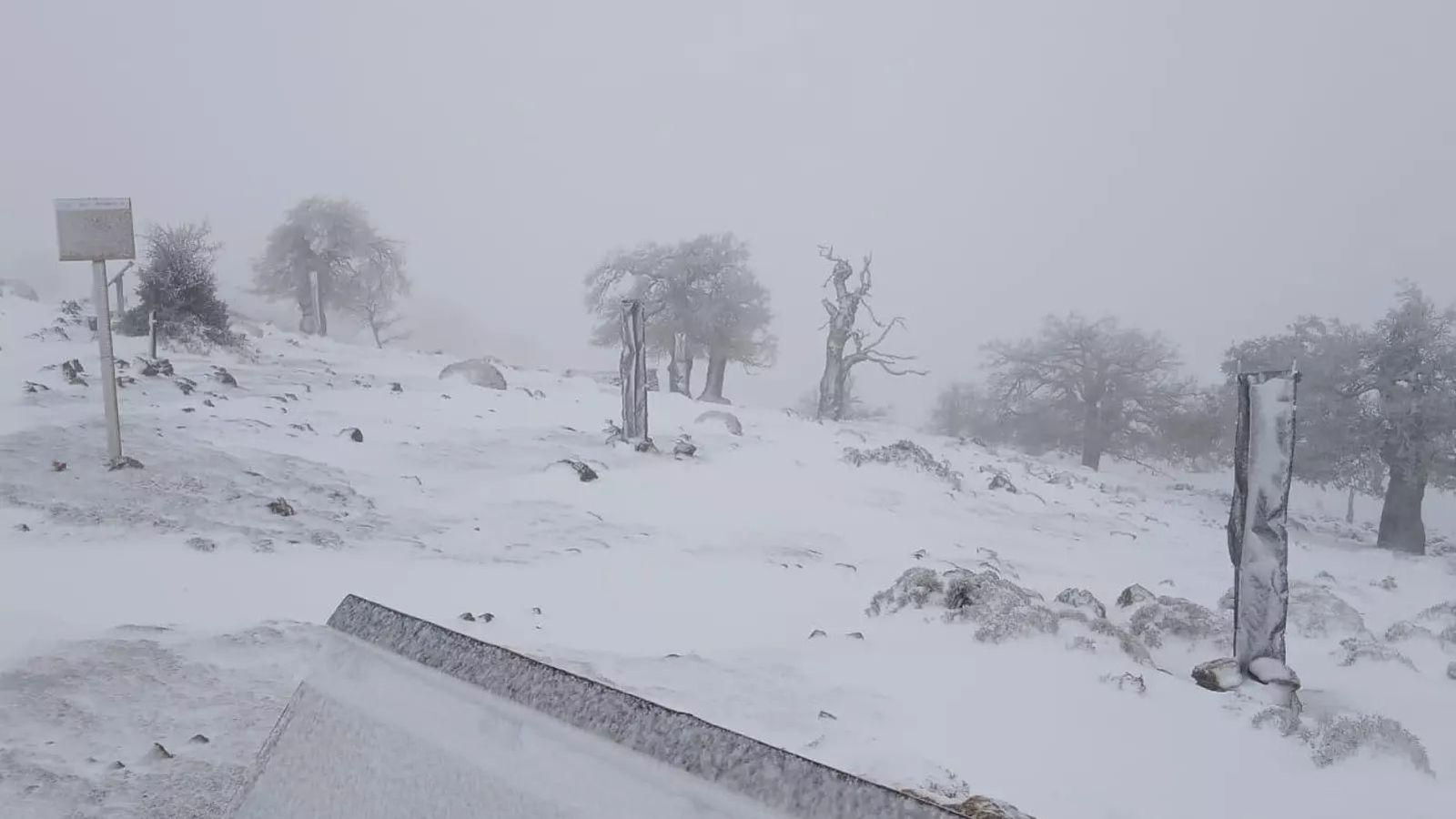 Nevada en la zona del puerto de Los Pilones.