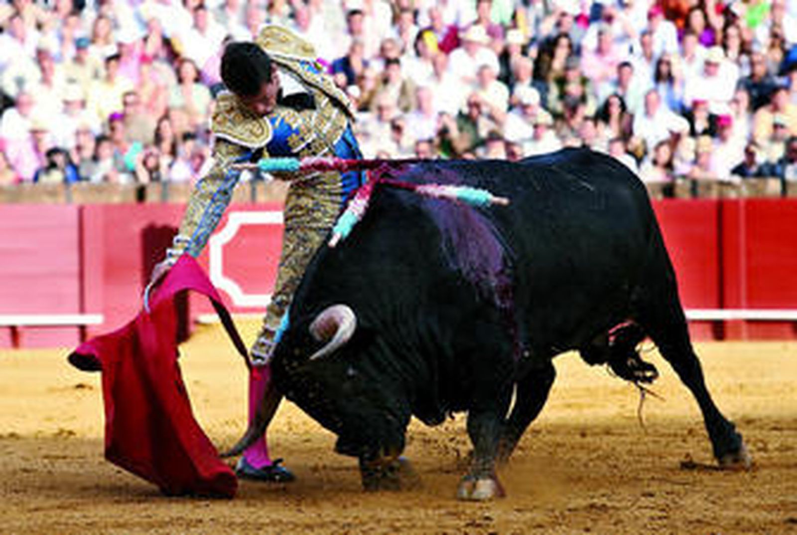José María Manzanares, en un derechazo de mano baja al segundo bis, al que cortó una oreja.
