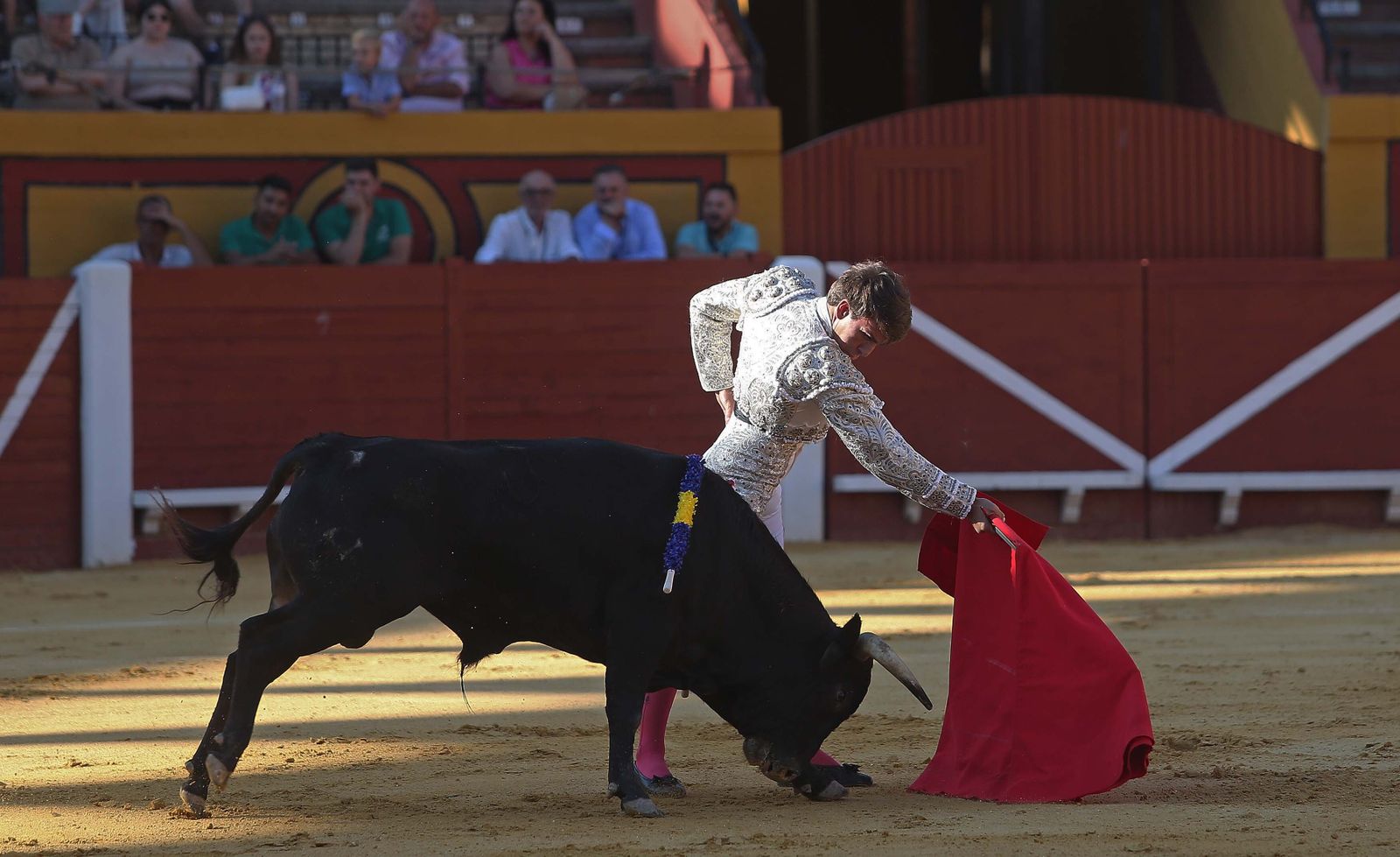 La novillada de Miguelín que abre la feria de Algeciras, en imágenes