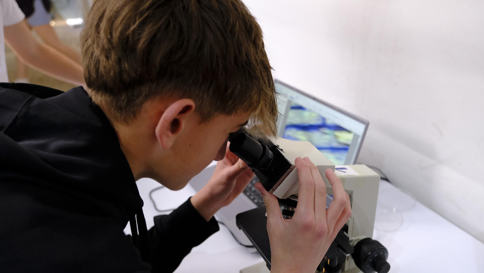 Imágenes de la Feria de la Innovación y la Ciencia en la Universidad de Almería-UAL