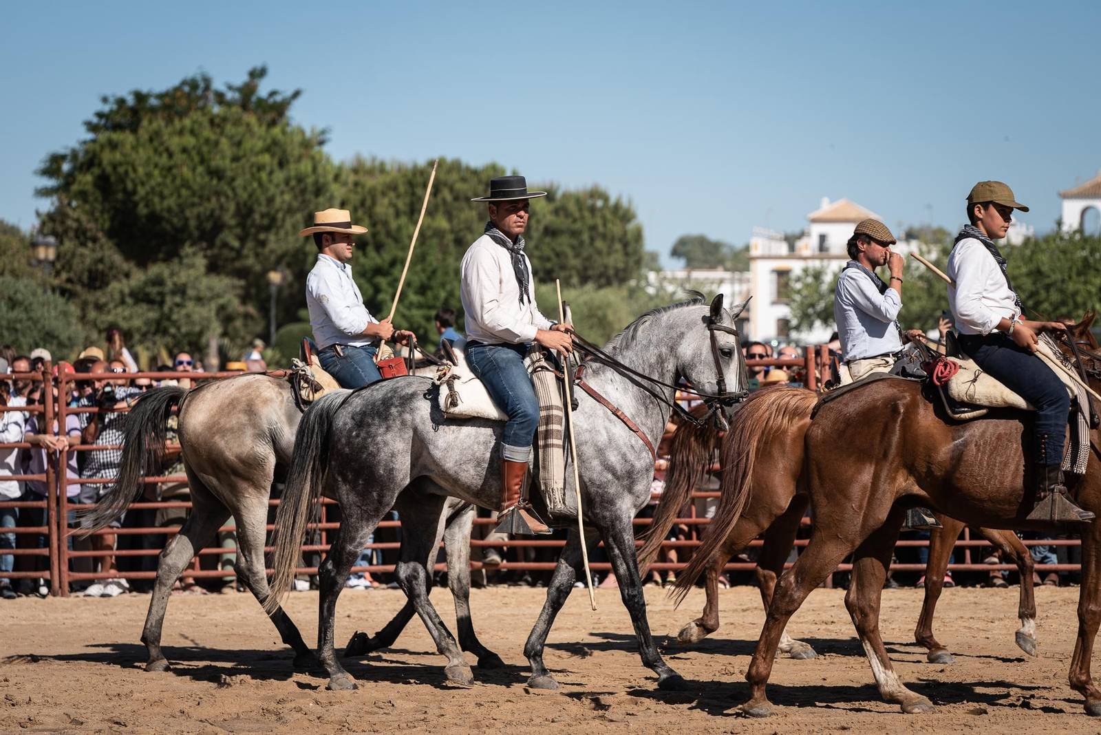 Imágenes de la Saca de las Yeguas a su paso por El Rocío