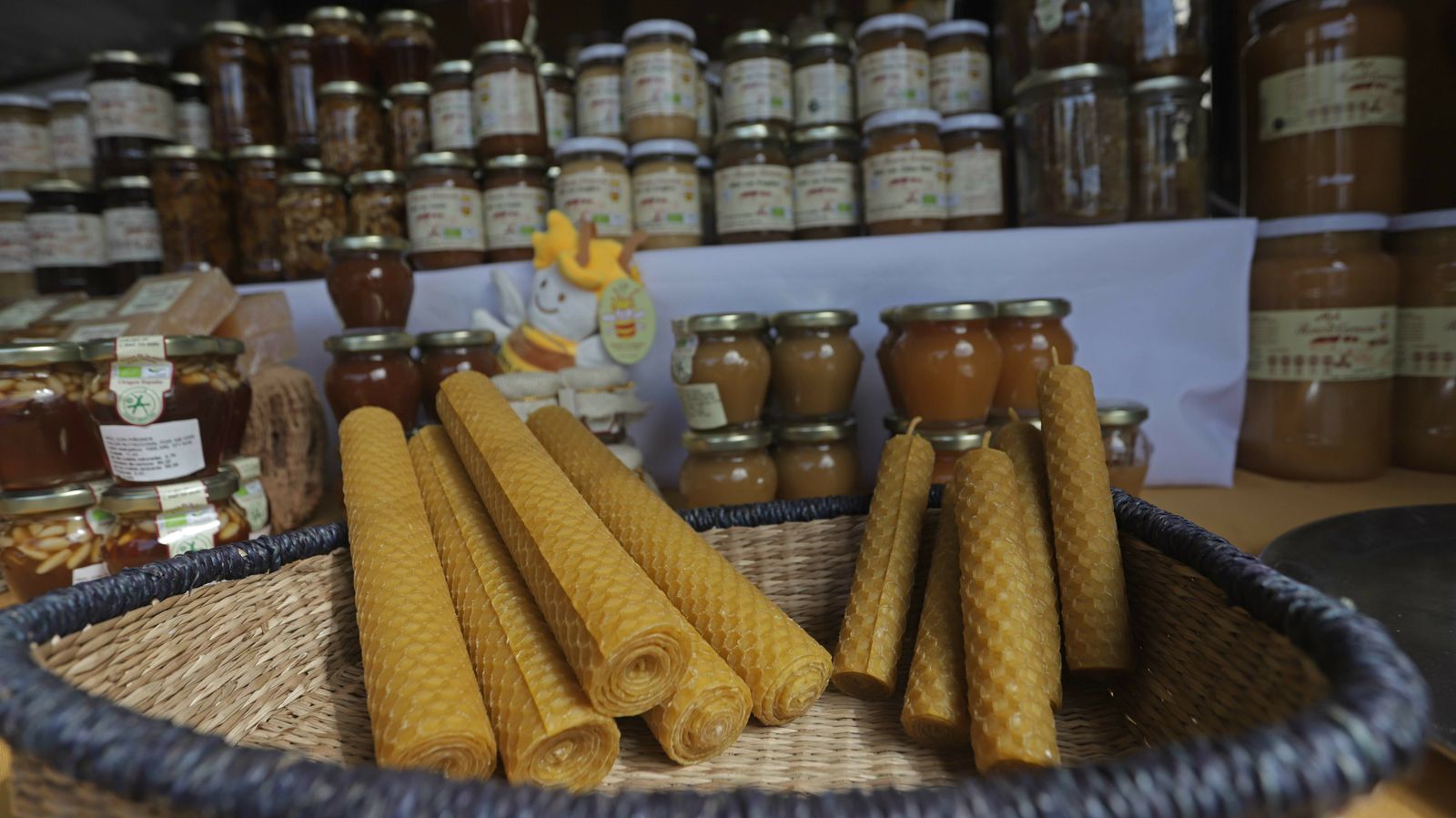 La mejores fotos de la III Feria de Muestras del Parque Natural de Los Alcornocales en Algeciras.