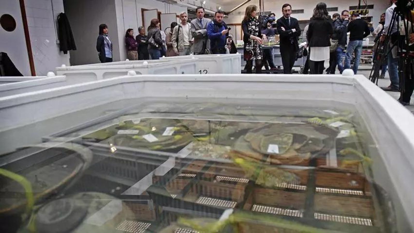 Restos del pecio Delta 1, que fueron presentados en 2012 en el CAS