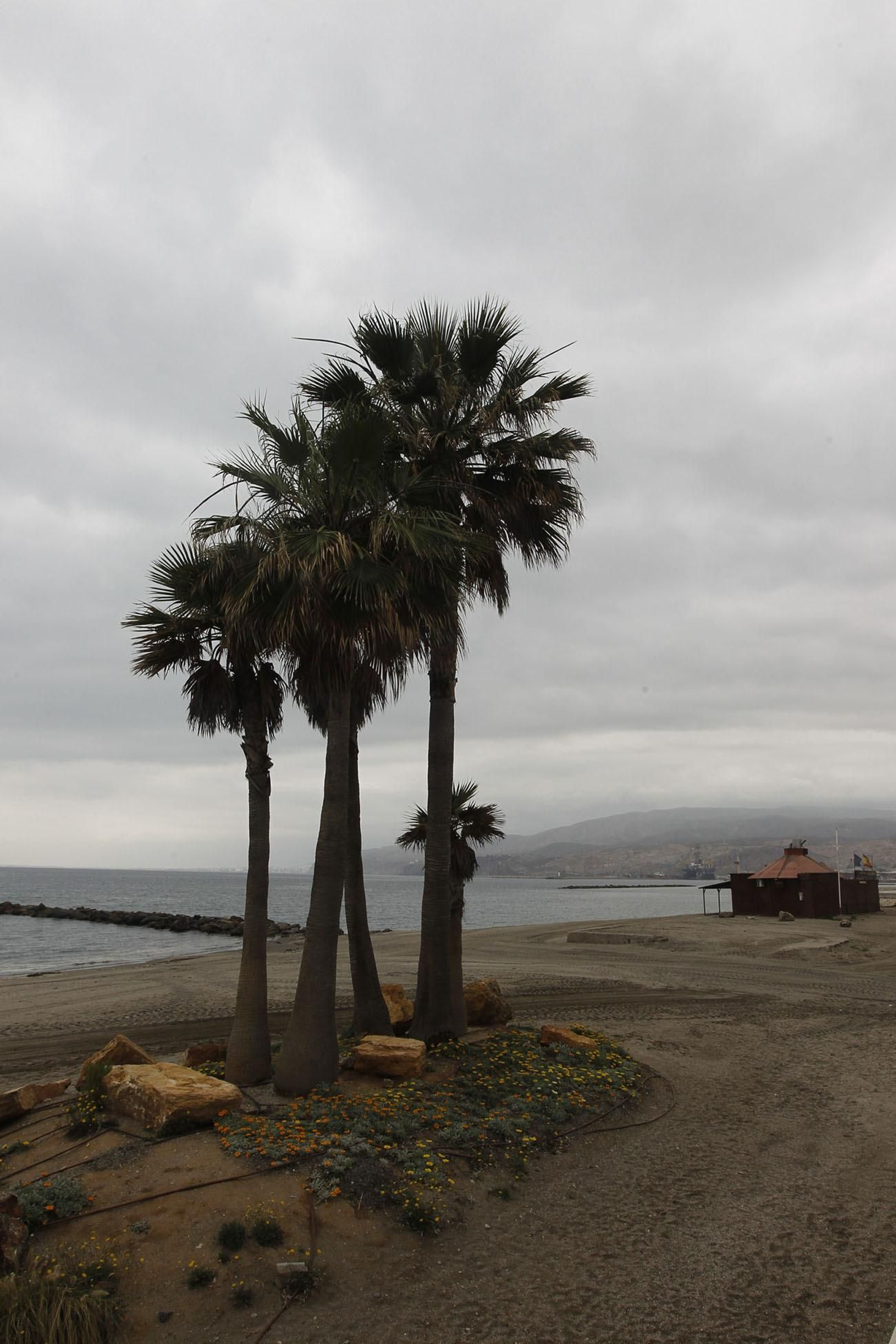 Fotogalería 'Almería, desierta en sábado'. Coronavirus-COVID-19