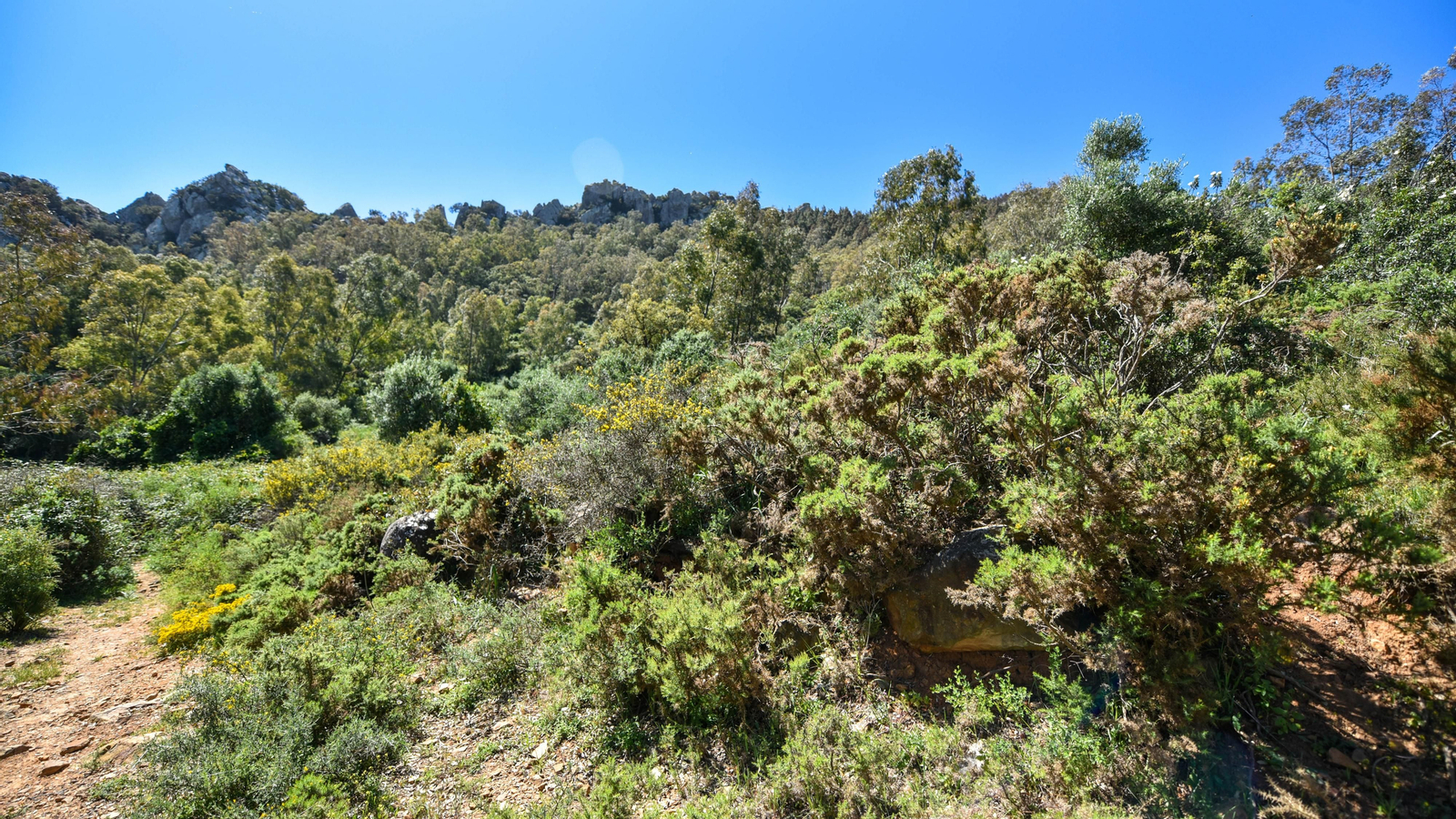 Fotos de la zona de Betijuelos incendiada
