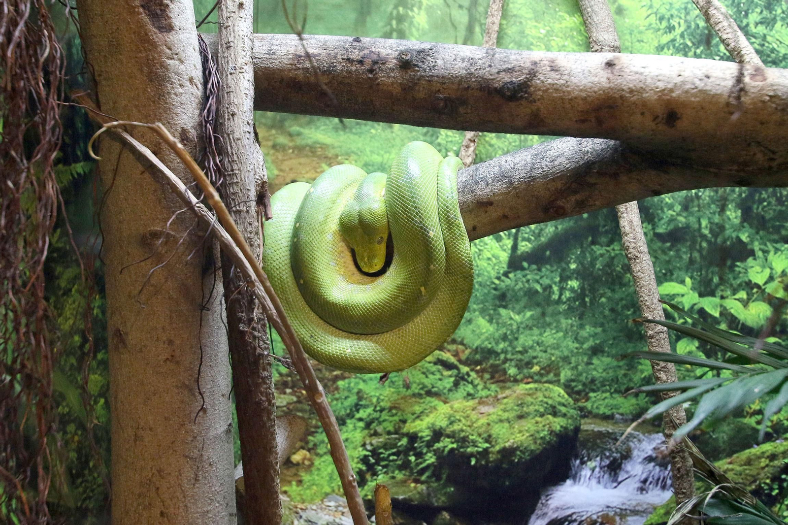 Fotogalería del Oasys Mini Hollywood sin actividad durante el coronavirus