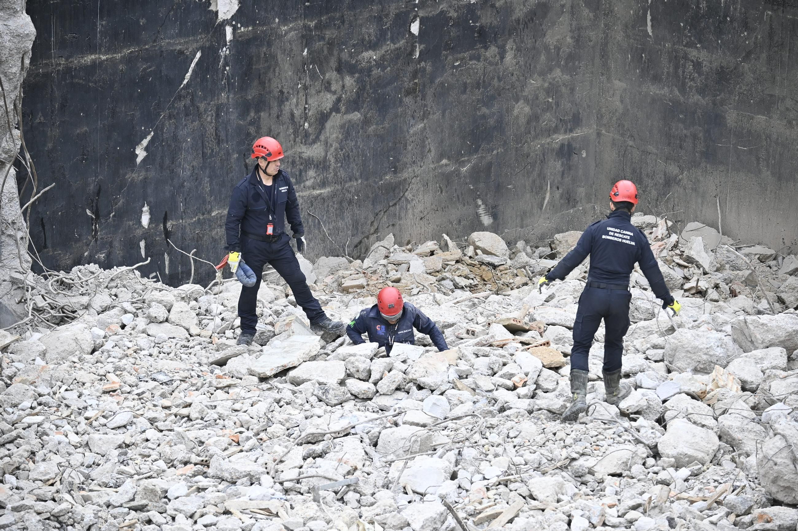 Práctica de la Unidad Canina y el Equipo de Intervención de Bomberos Unidos Sin Fronteras, en imágenes