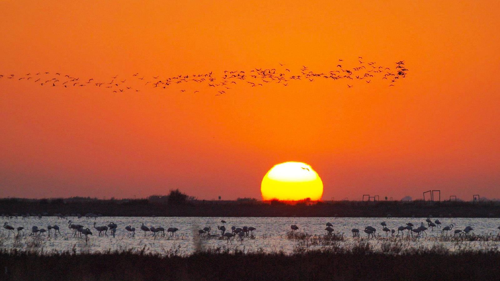 Atardecer en Trebujena