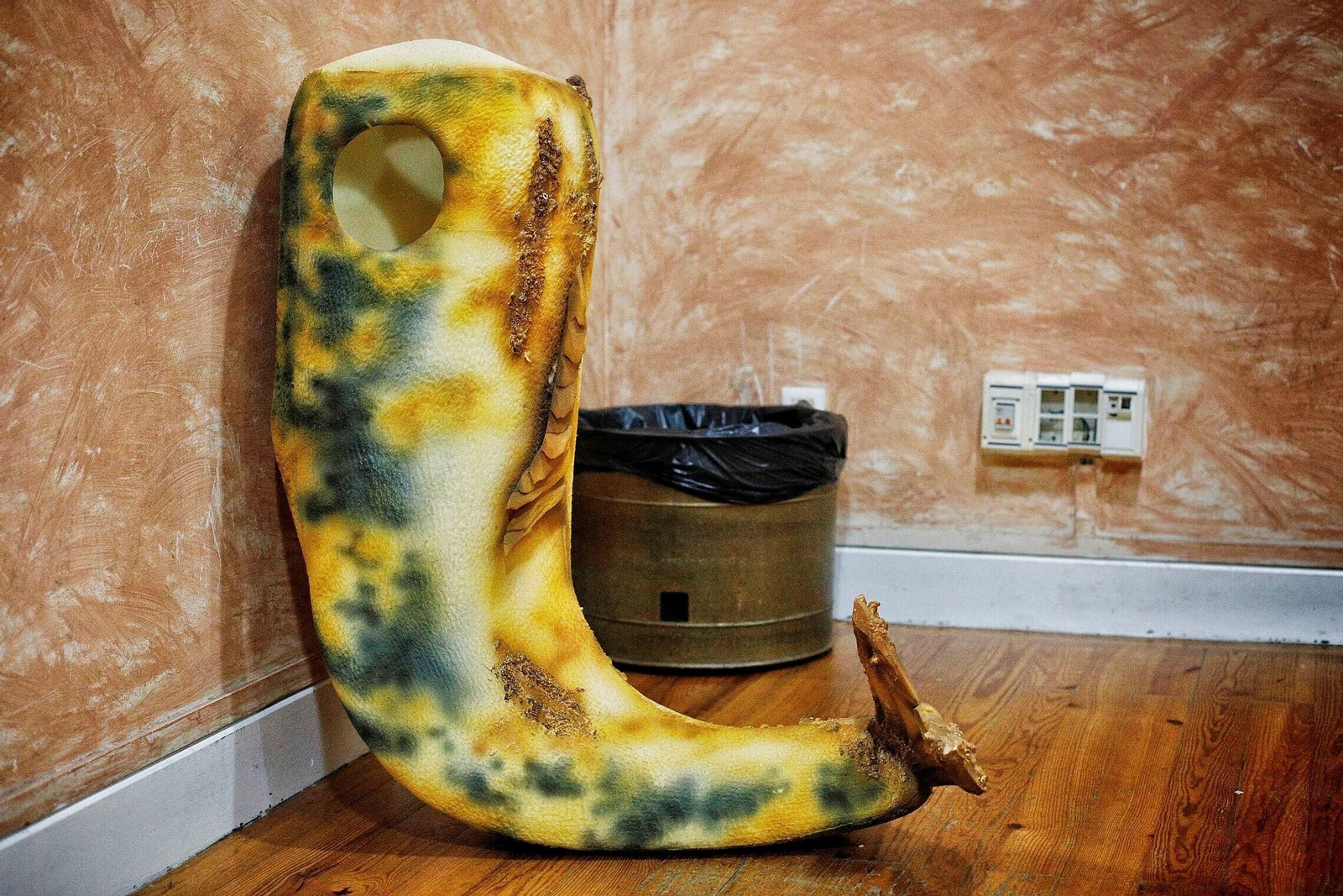 Chirigota ' Me tienes frito'