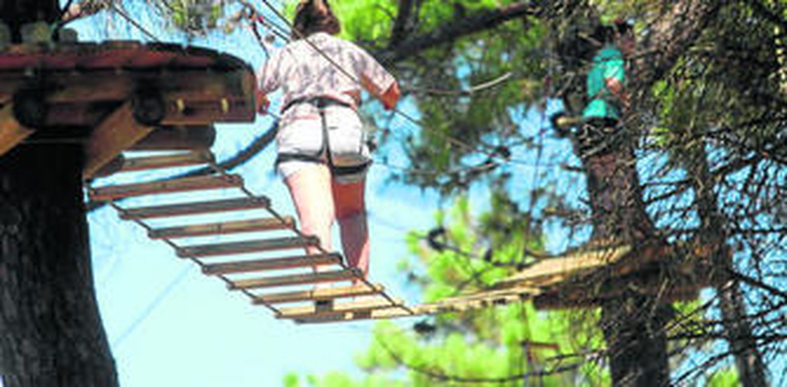 Juegos en los árboles