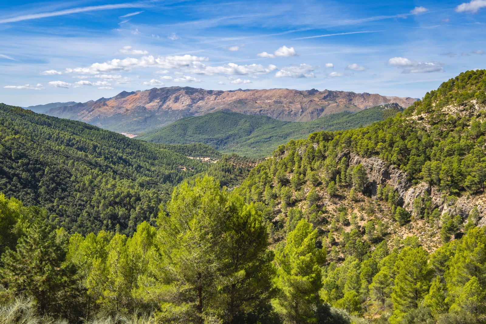 El Parque Natural de las Sierras de Cazorla, Segura y Las Villas es el mayor espacio protegido de España y el segundo de Europa.