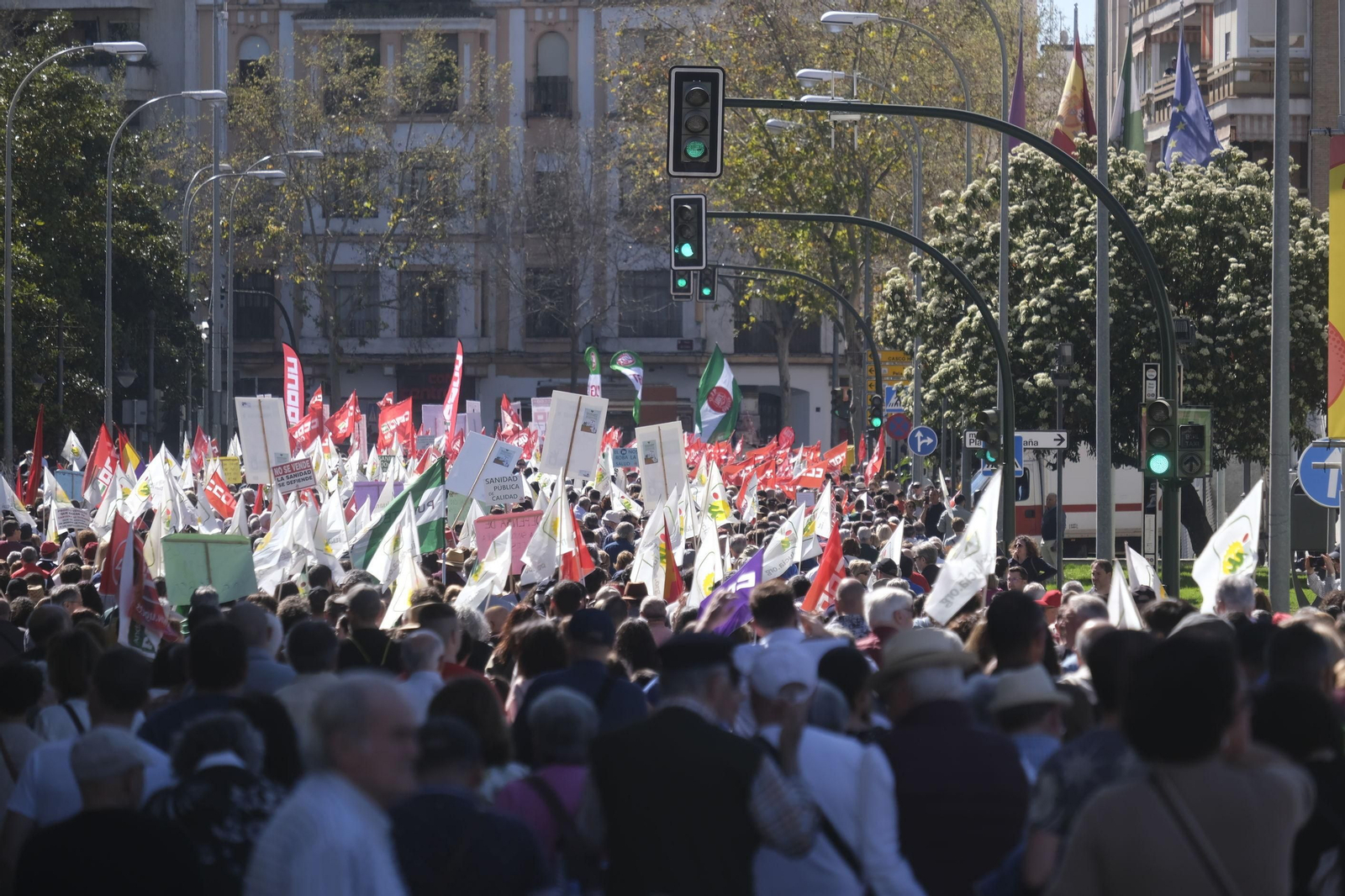 La manifestación en Córdoba por la sanidad pública y contra su privatización, en imágenes