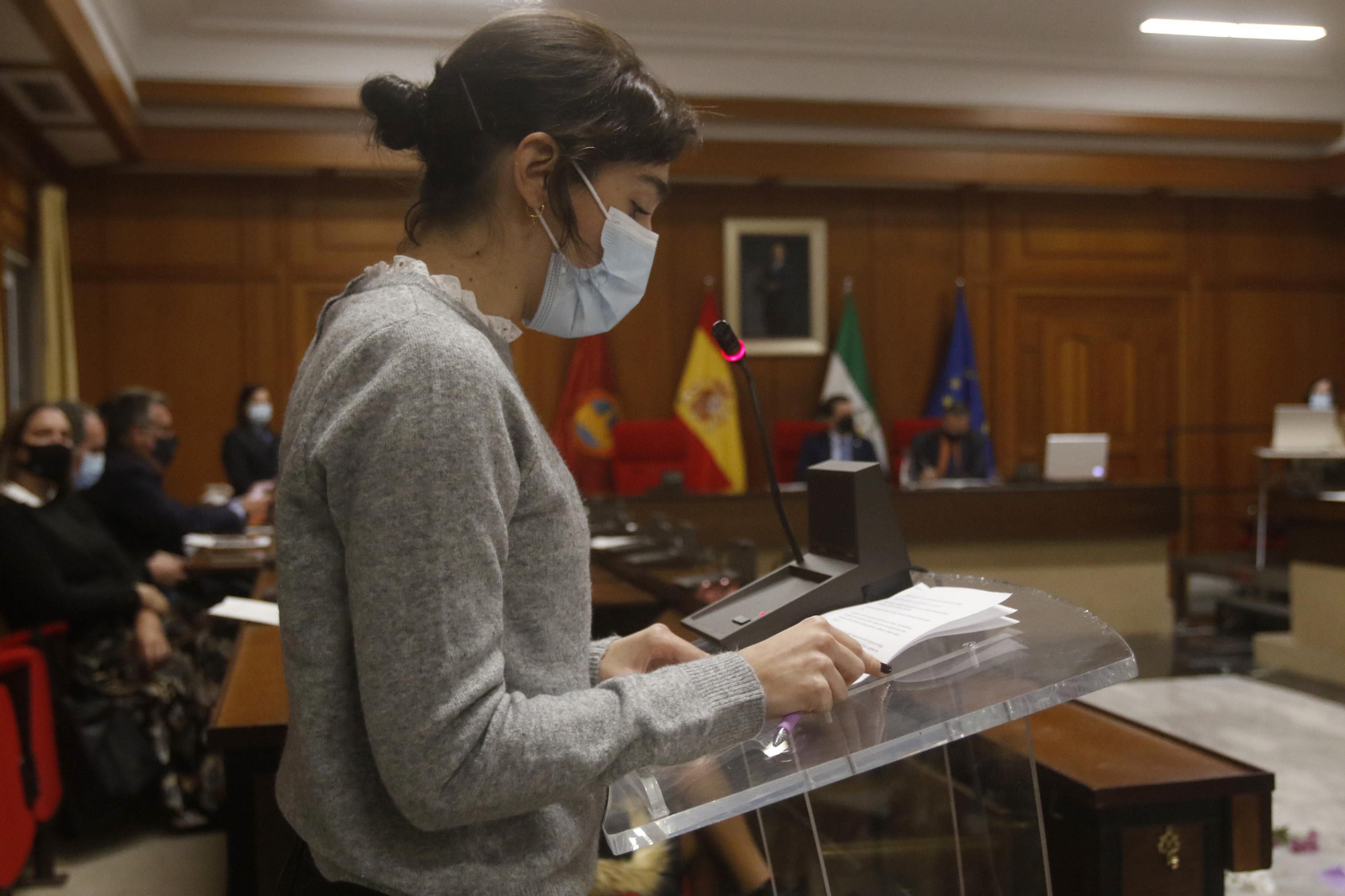 Pleno extraordinario por el Día Internacional de la Eliminación de la Violencia contra la Mujer.