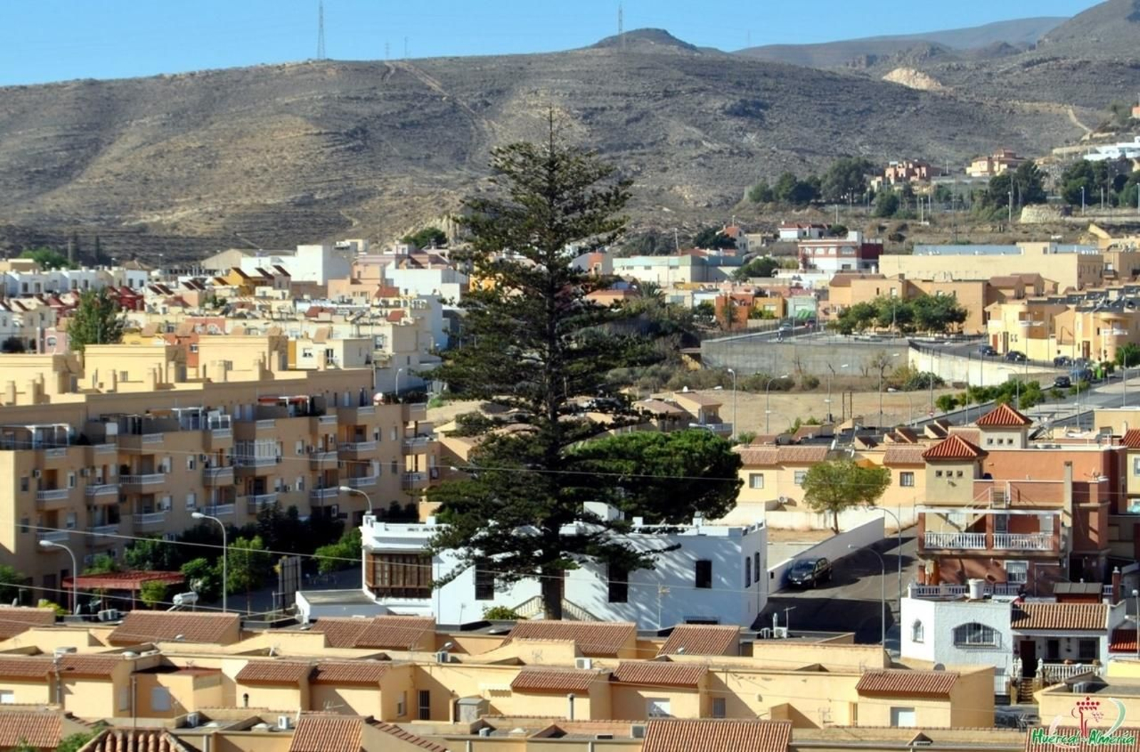 2. Araucaria y Cortijo Moreno