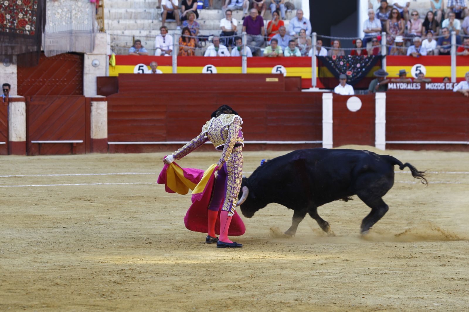 Fotogalería de la novillada de la Feria Taurina de Almería 2022