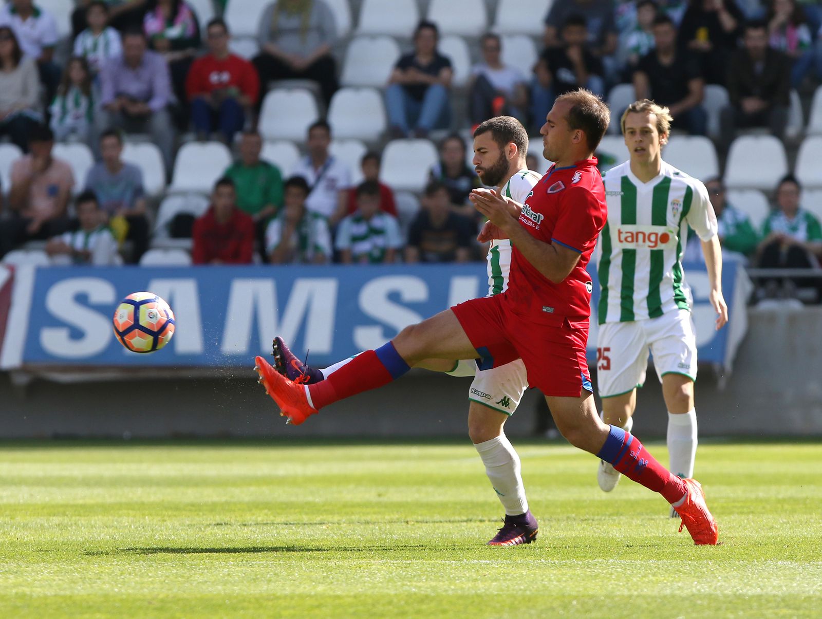 El Córdoba CF-Numancia, en imágenes
