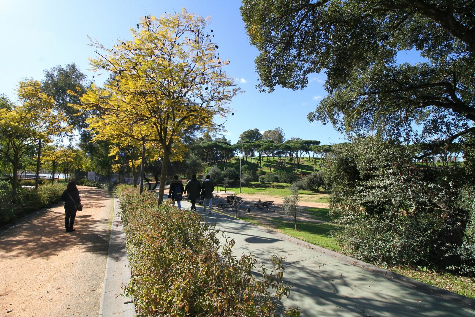 Interior del Parque Moret.