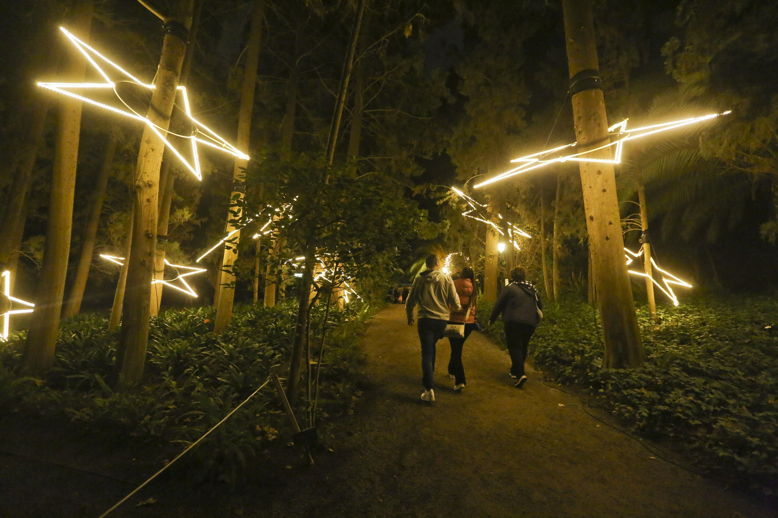 Las luces del Jardín Botánico de Málaga esta Navidad, en fotos