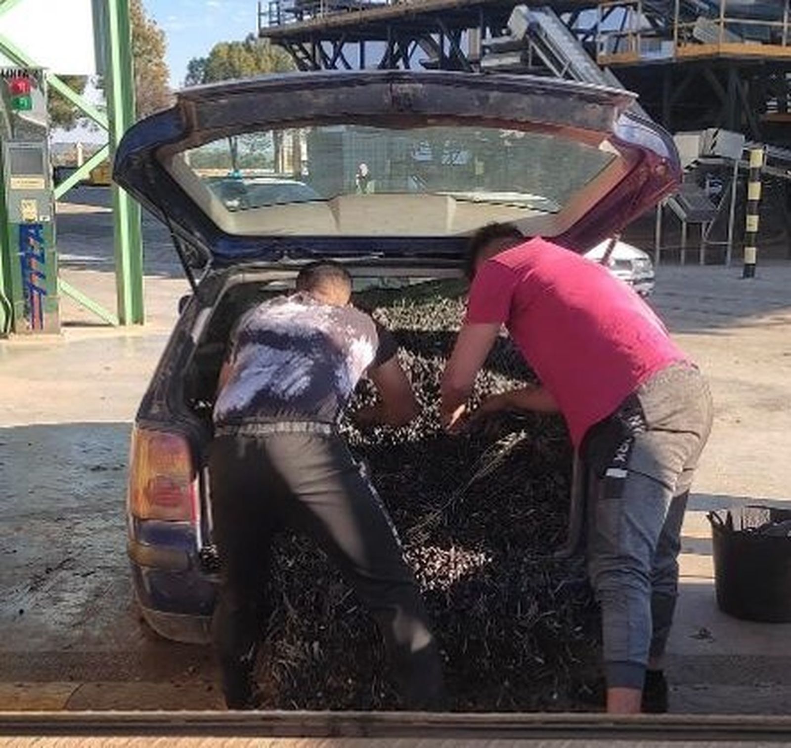 Uno de los coches interceptados con aceituna presuntamente robada.
