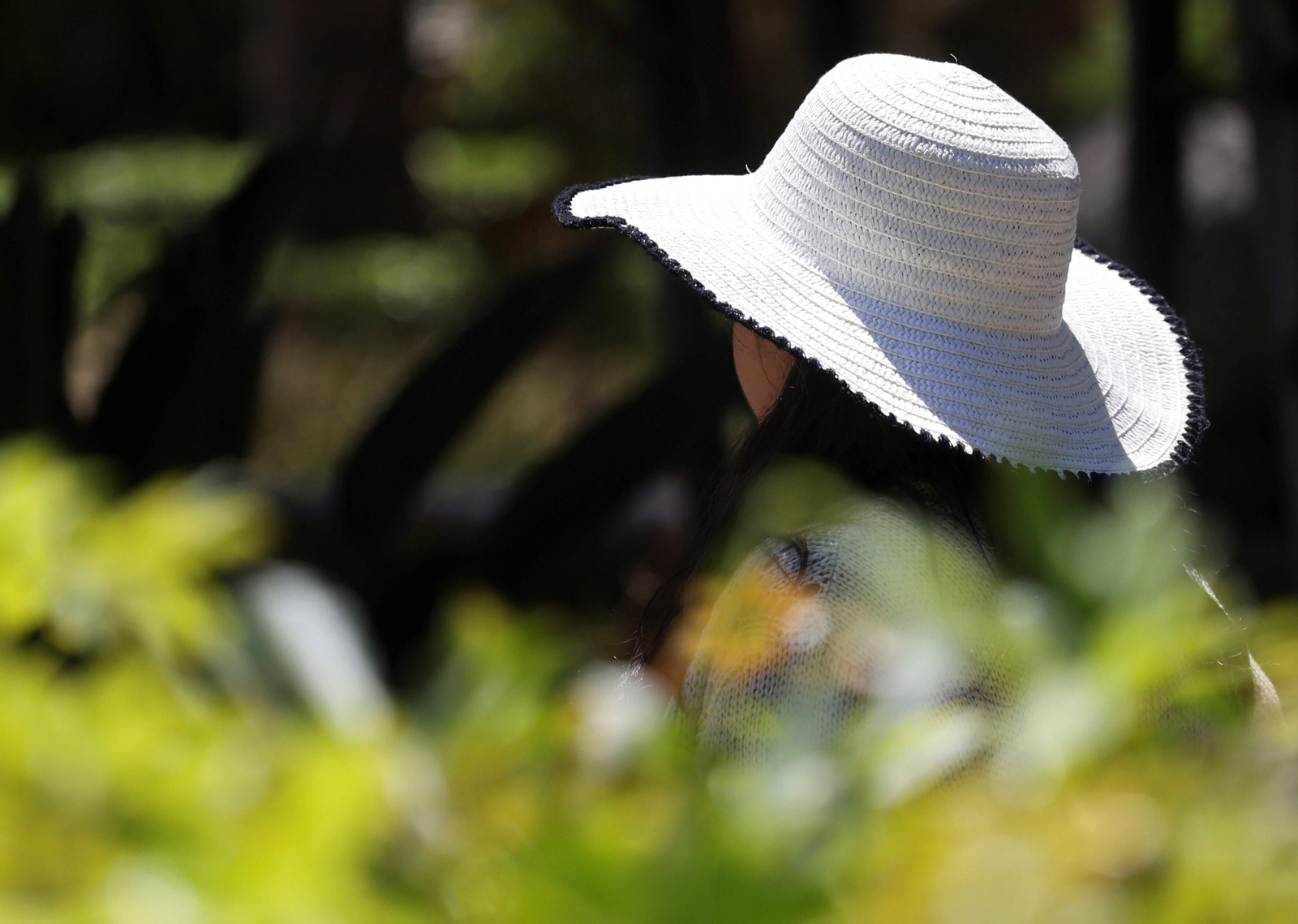 La llegada del terral a Málaga, en fotos