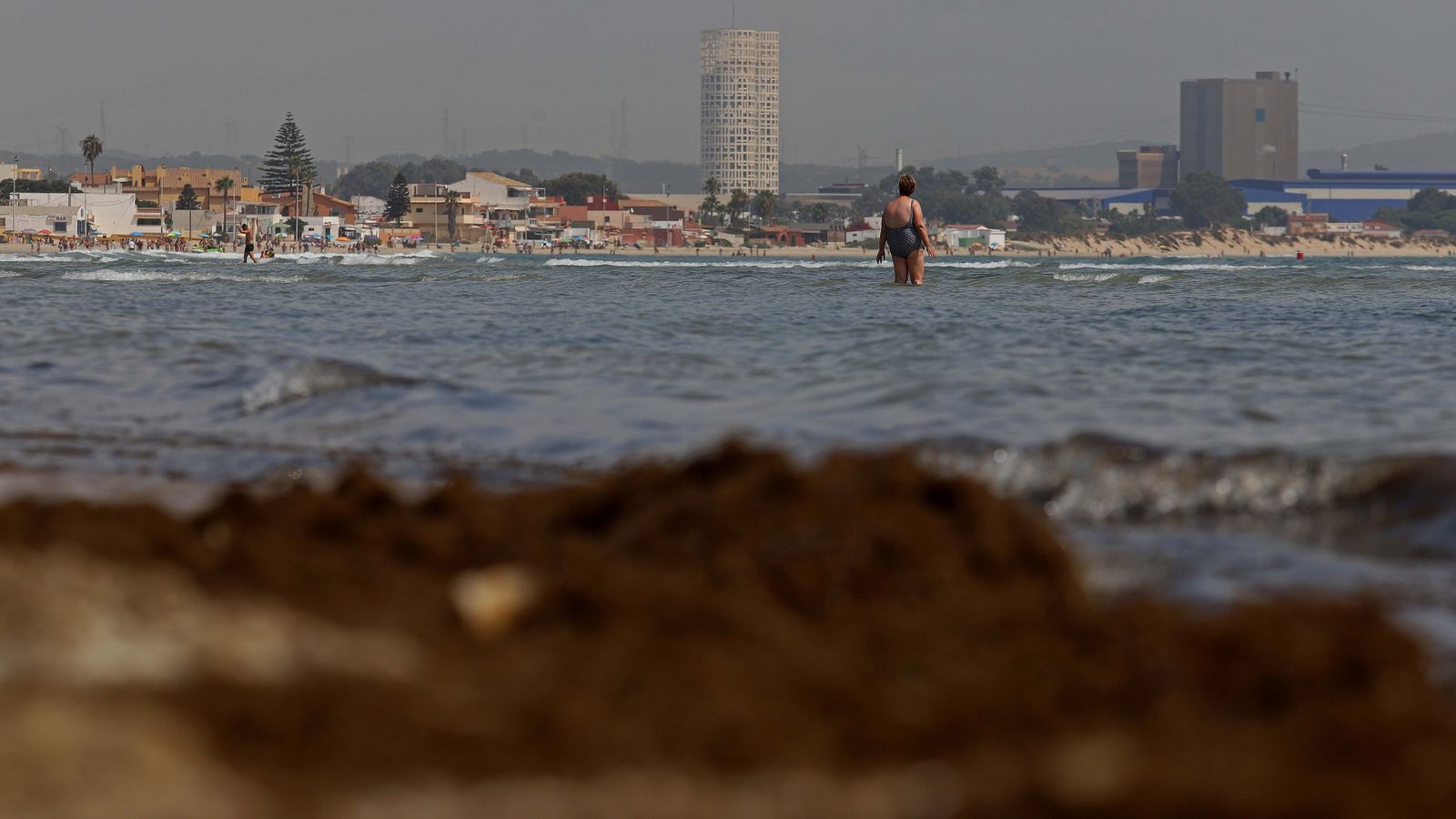 Fotos del alga invasora en El Rinconcillo
