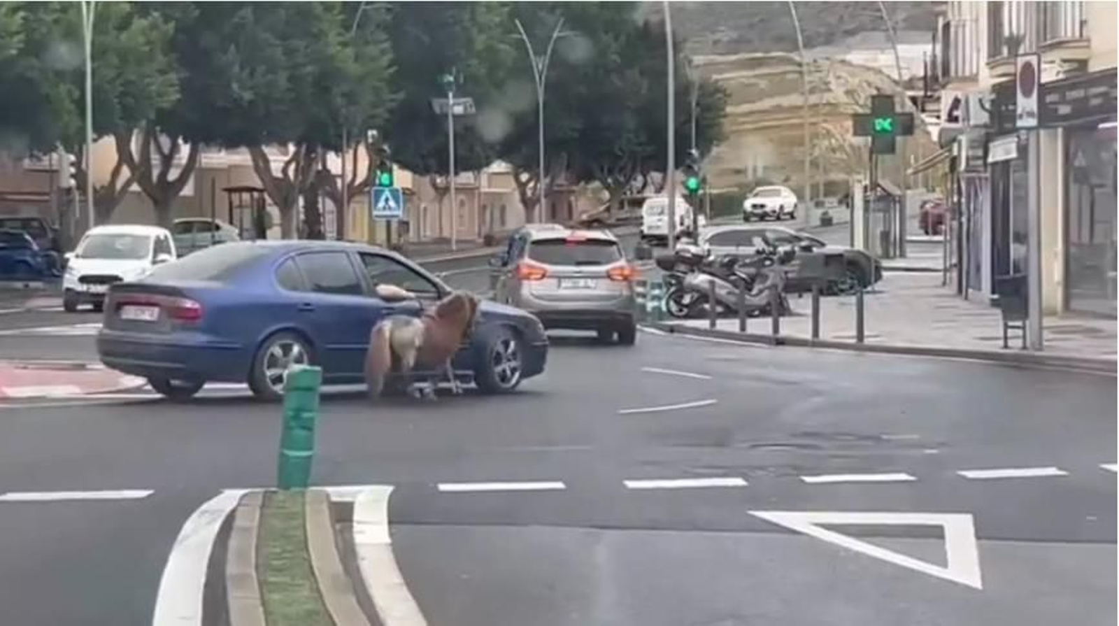 Buscan a un individuo que paseaba a un poni atado a su coche en Almería