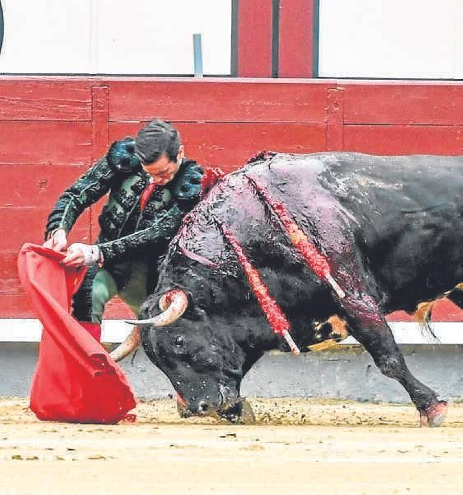 Juan Ortega, nuevo en Jerez este viernes. Juan Ortega, nuevo en Jerez este viernes.