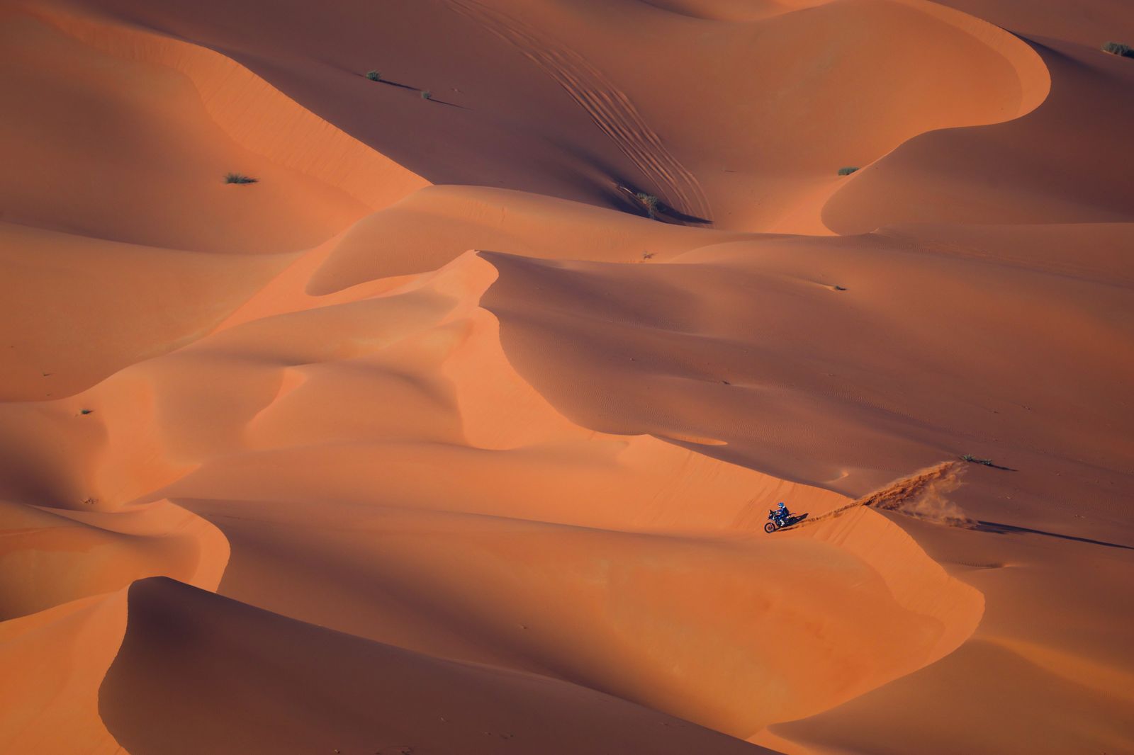 Las mejores fotos del Dakar por las dunas