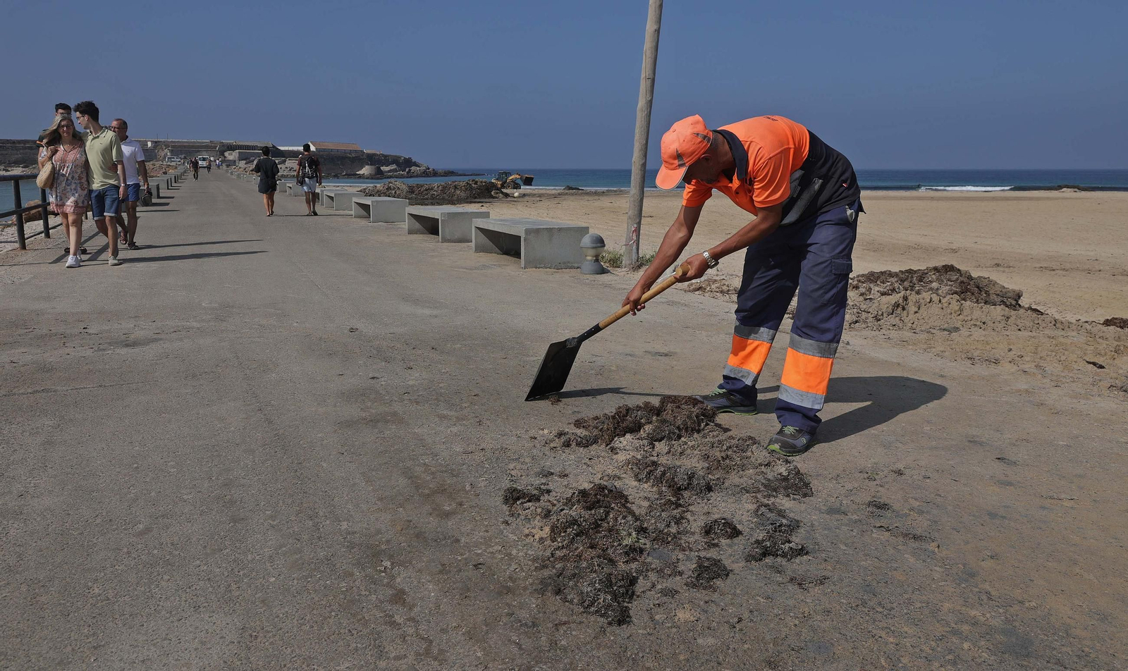 El alga invasora cubre de nuevo la playa de Los Lances en Tarifa