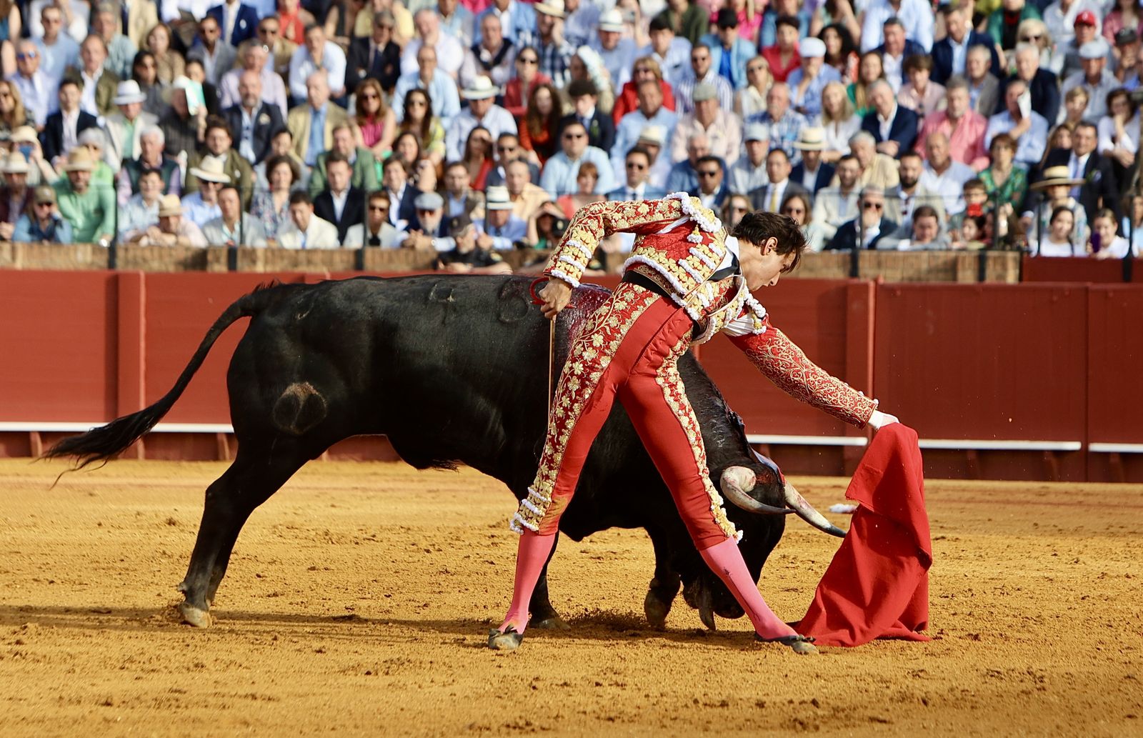 Las mejores imágenes de la corrida de toros de Juan Ortega, Roca Rey y Pablo Aguado