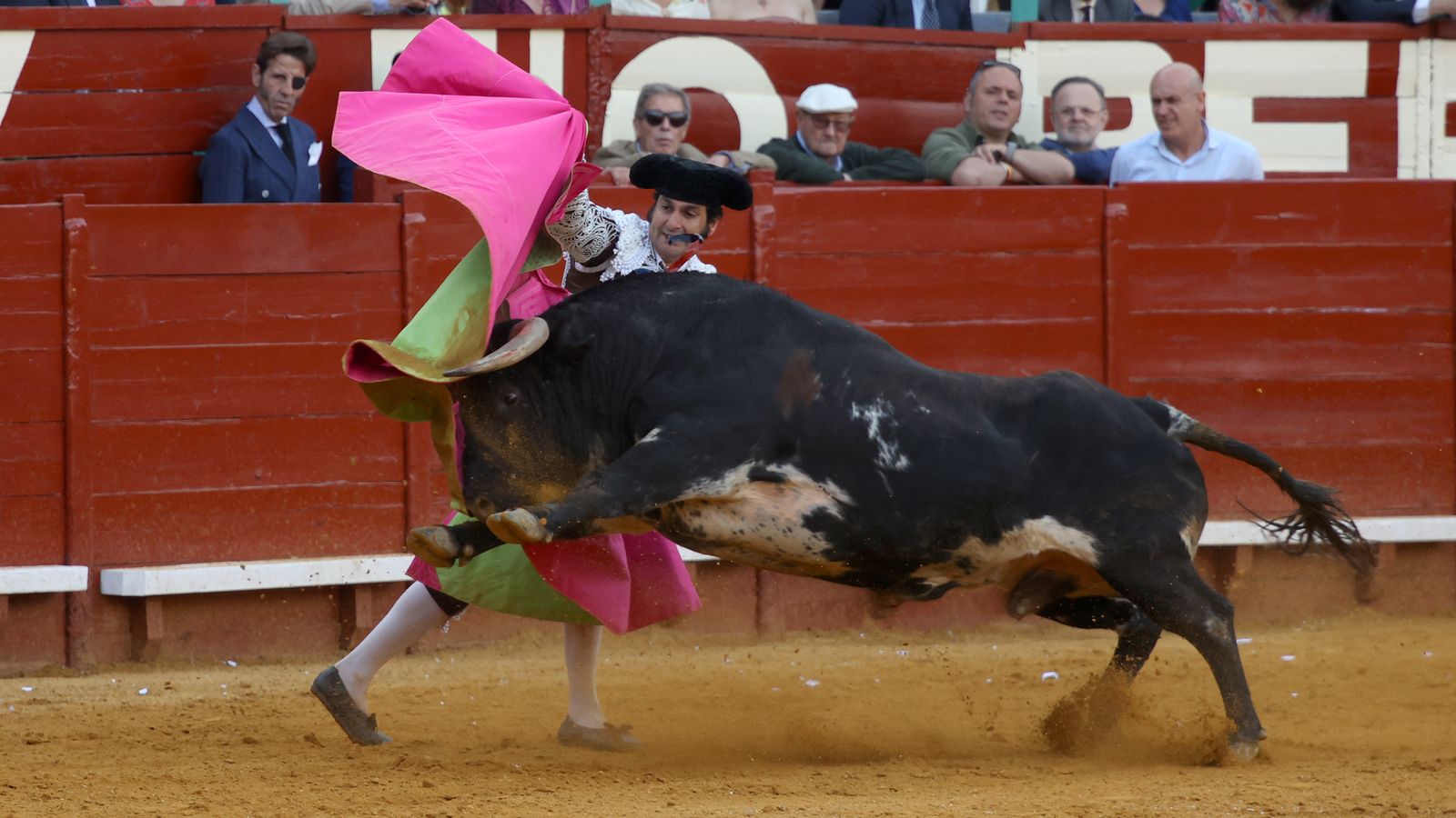 Tercera tarde de toros y última de la Feria de Jerez con Morante, Juan Ortega y Roca Rey