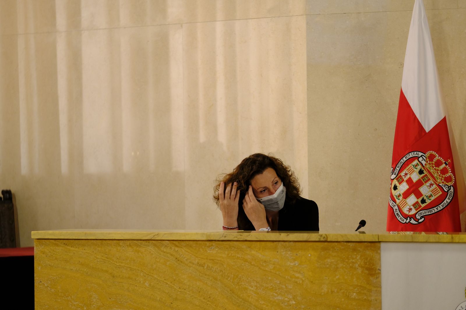 Fotogalería pleno ordinario del Ayuntamiento de Almería