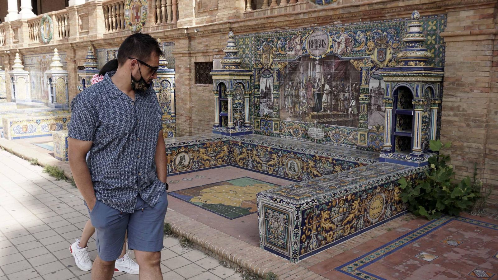 Junto al banco dedicado a Burgos ha crecido un platanero