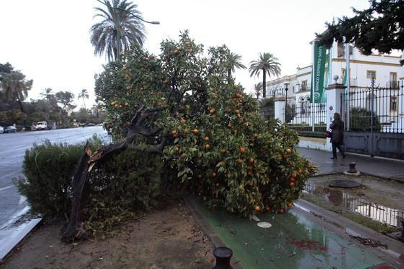 Foto: Juan Carlos Muñoz