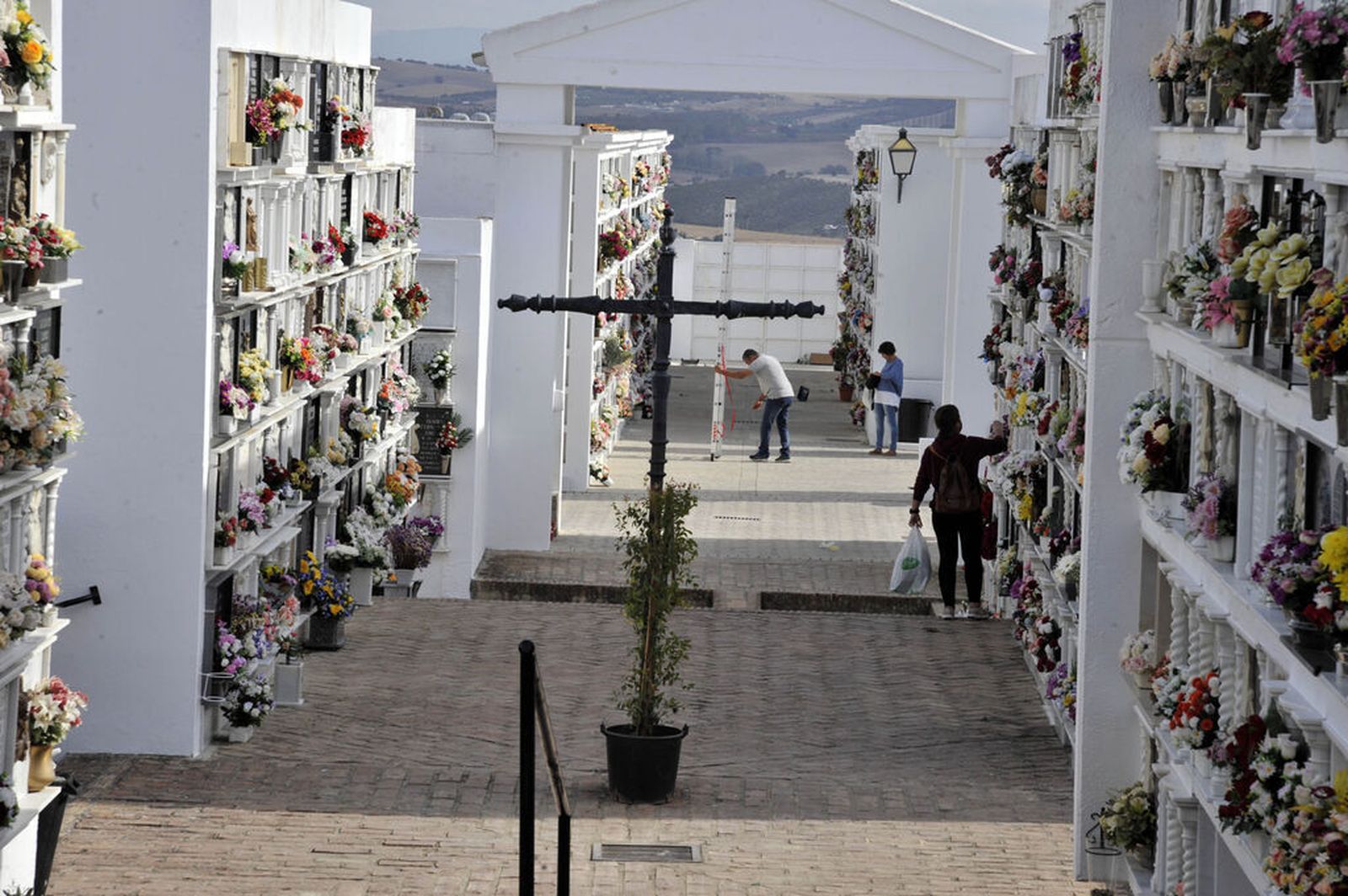 Cementerio católico de San Miguel (Arcos)