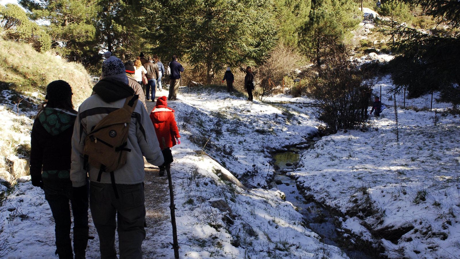 Nevada en Grazalema en 2010