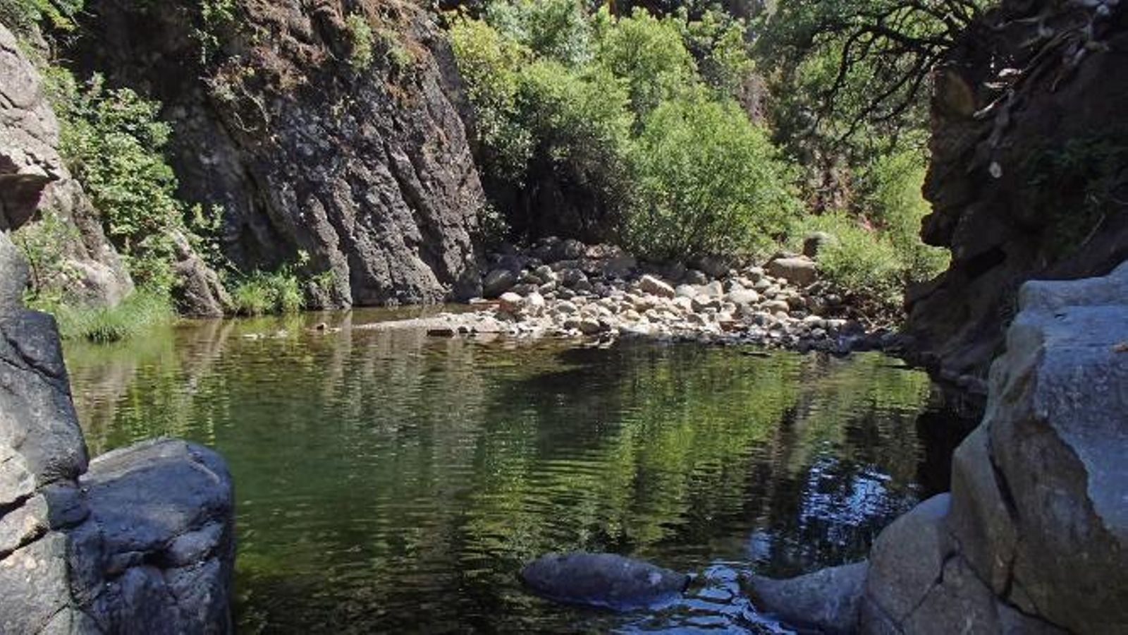 Charca de la Extranjera del río Padrón en Estepona.