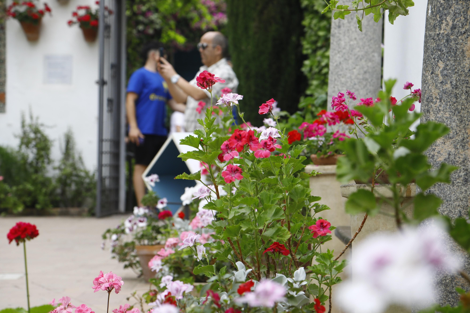 La jornada de puertas abiertas en el Palacio de Viana de Cordoba, en imágenes