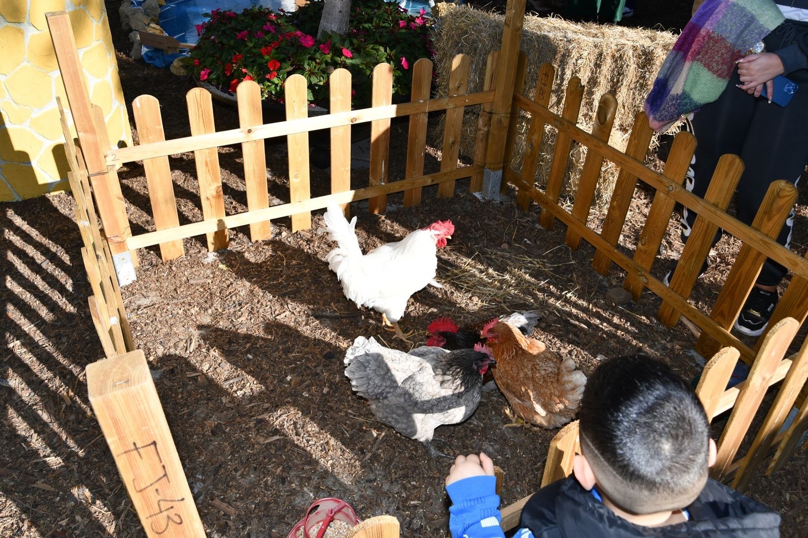 El Belén Viviente de Puente Mayorga, en imágenes