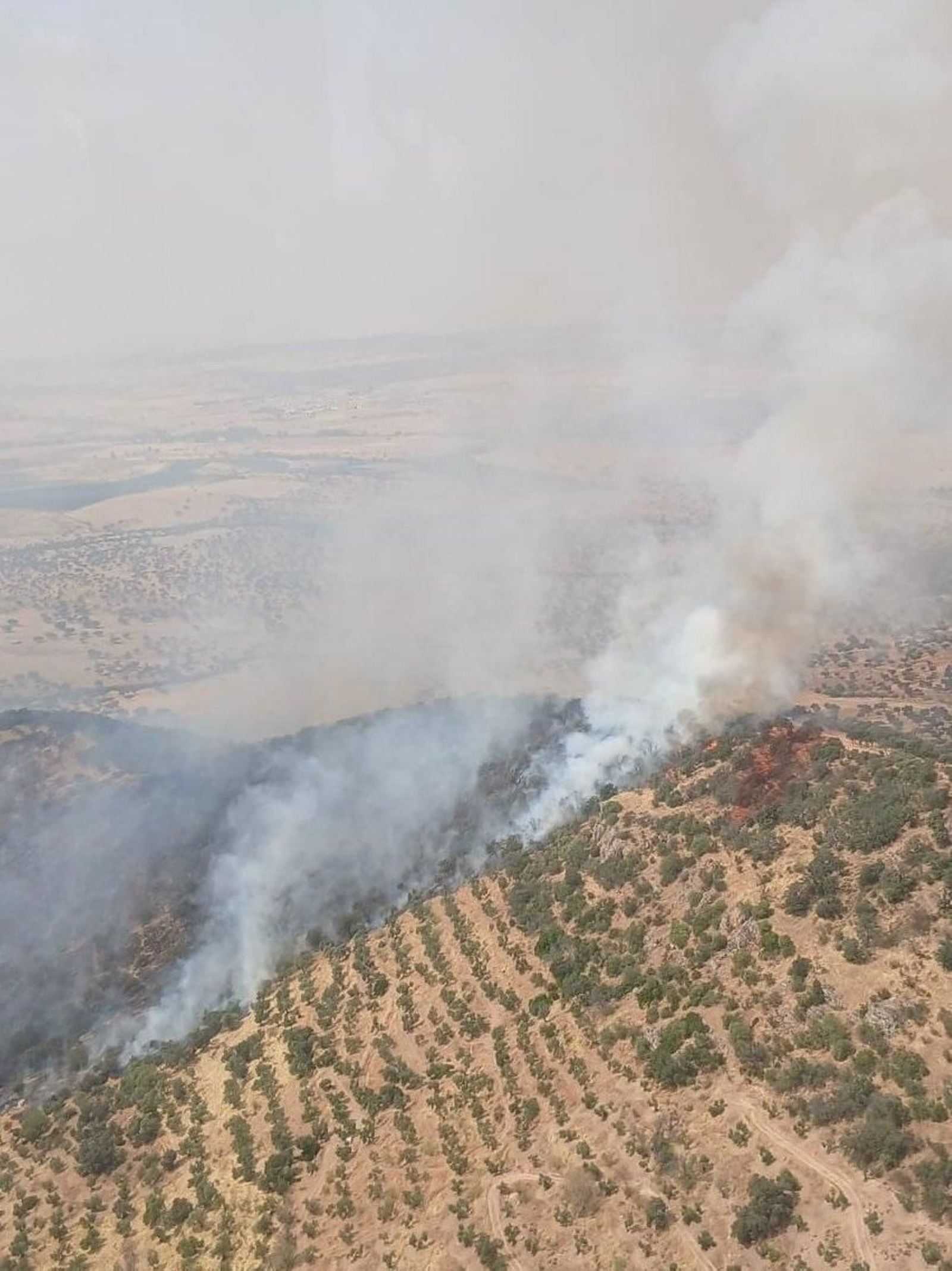 Incendio en la sierra de Buitrones.