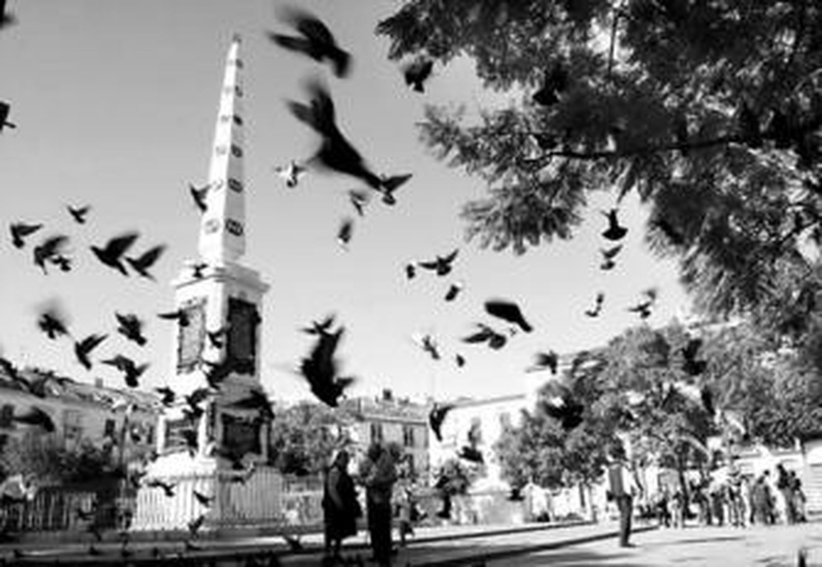 El obelisco al general Torrijos, dañado con frecuencia por la suciedad de las palomas.