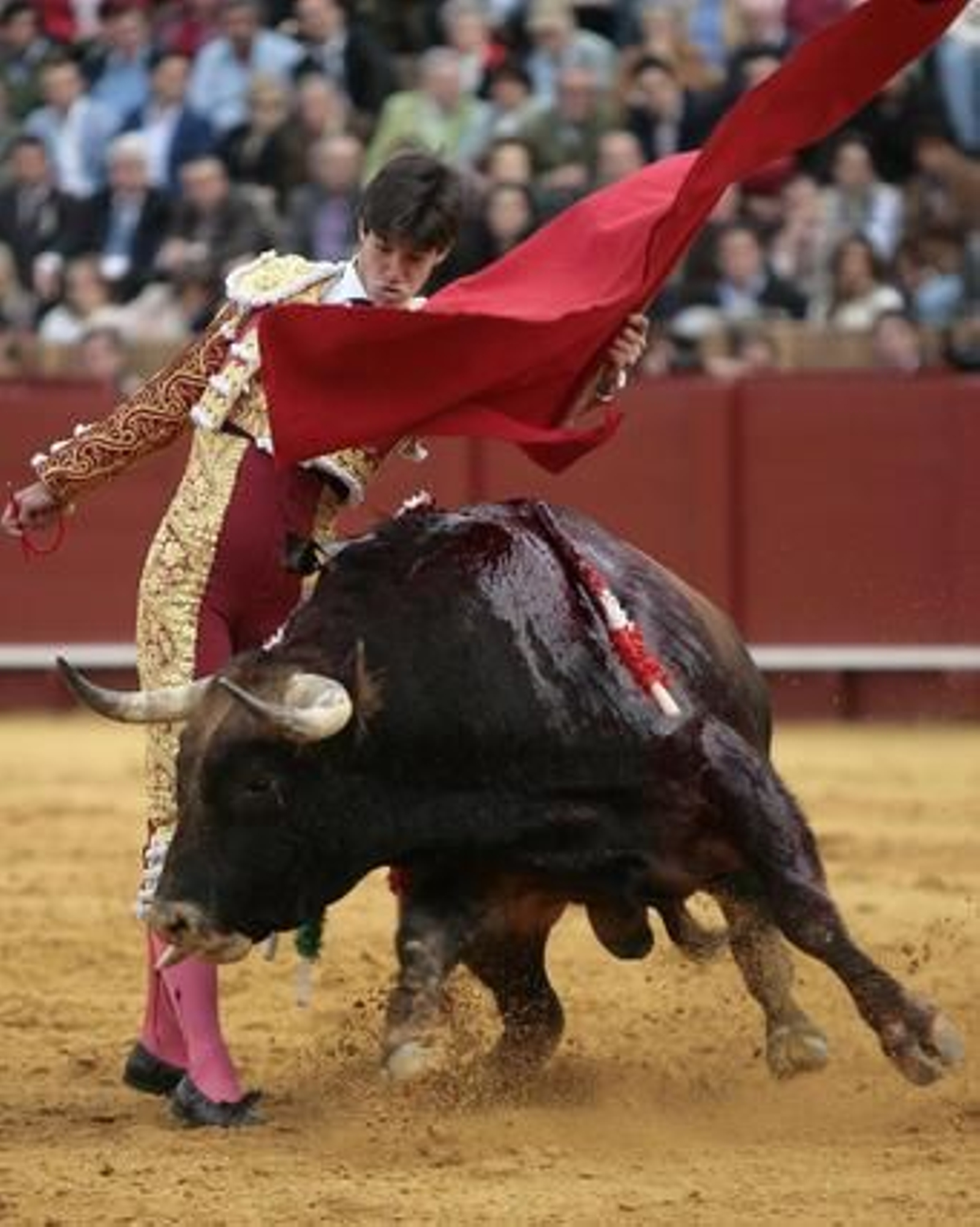 Esaú Fernández con su primer toro en la Maestranza.

Foto: Juan Carlos Muñoz